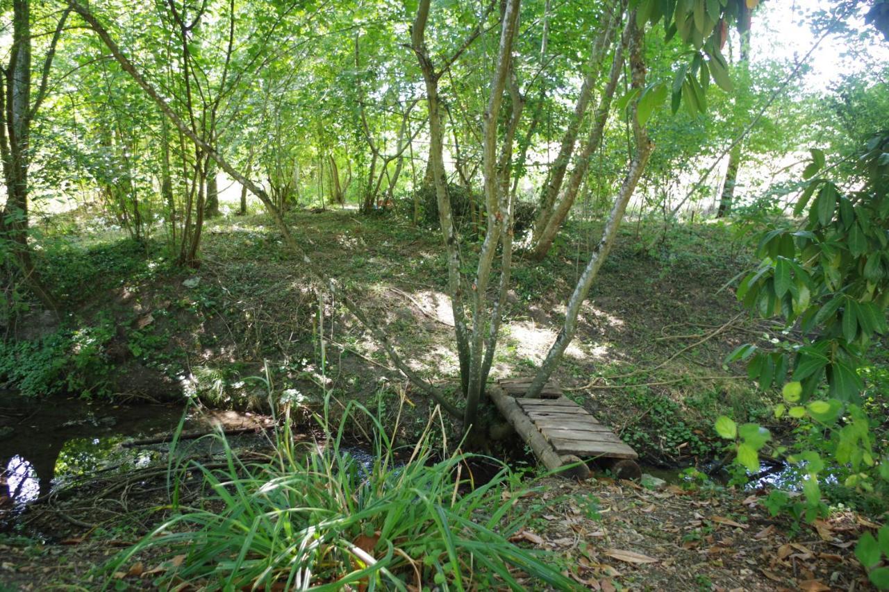 Gite Du Moulin De Vandon Souvigny-de-Touraine 外观 照片